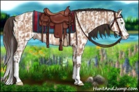 Horse Color:Amber Champagne Splash Rabicano  and Sable Champagne Splash Appaloosa Rabicano 