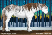 Horse Color:Gray White Spotted Black  and Gray White Spotted Chestnut 