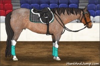 Horse Color:Buckskin Roan 