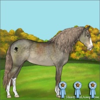 Horse Color:Chocolate Palomino Dun Sabino 