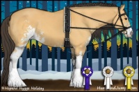 Horse Color:Buckskin Dun Sabino 