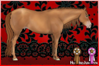Horse Color:Gray Gold Champagne 