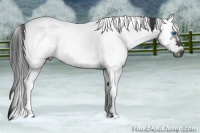 Horse Color:White Spotted Blue Roan Splash Frame