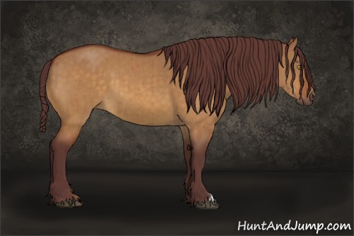 Horse Color:Chocolate Buckskin Dun Brindle 