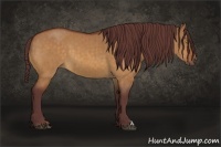 Horse Color:Chocolate Buckskin Dun Brindle 