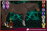 Horse Color:Liver Chestnut Tobiano 