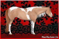 Horse Color:Gold Champagne Tobiano 