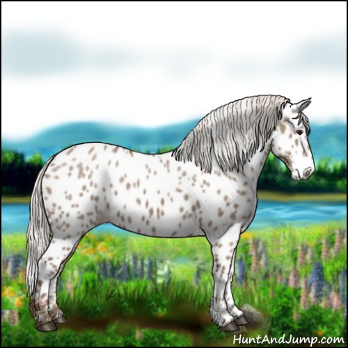 Horse Color:Silver Grullo Near Leopard 