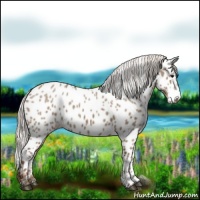 Horse Color:Silver Grullo Near Leopard 