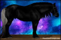 Horse Color:Void White Spotted Silver Grullo Roan Blanket 
