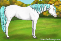 Horse Color:Painted Palomino Dun Near Leopard and Painted Palomino Dun Near Leopard