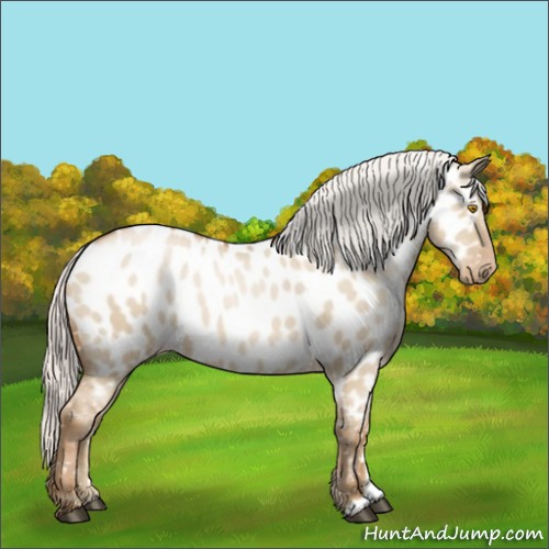 Horse Color:Silver Grullo Pearl Near Leopard 