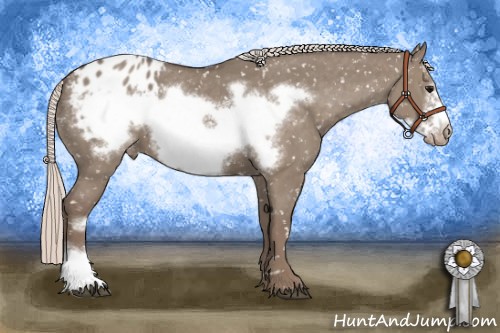 Horse Color:Silver Grullo Frame Appaloosa 