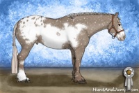 Horse Color:Silver Grullo Frame Appaloosa 