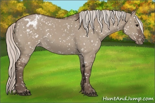 Horse Color:Silver Grullo Snowflake Varnish 
