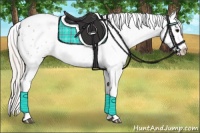 Horse Color:Silver Grullo Appaloosa