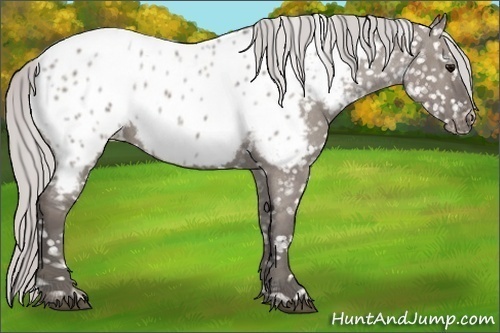 Horse Color:Platinum Silver Grullo Near Leopard 