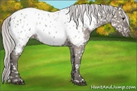 Horse Color:Platinum Silver Grullo Near Leopard 