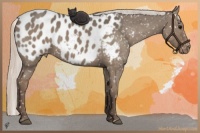 Horse Color:Silver Grullo Near Leopard 
