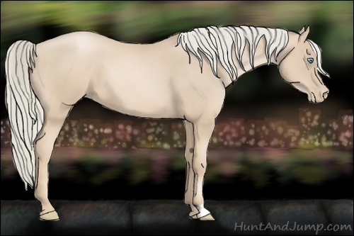 Horse Color:Palomino Pearl