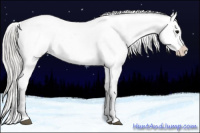 Horse Color:White Spotted Silver Grullo Appaloosa Brindle 