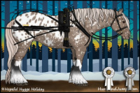 Horse Color:Silver Grullo Appaloosa 