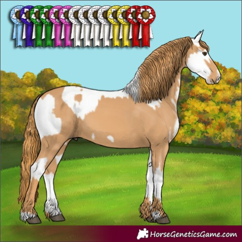 Horse Color:White Spotted Liver Red Dun Mushroom Frame Appaloosa  and Chestnut Frame 
