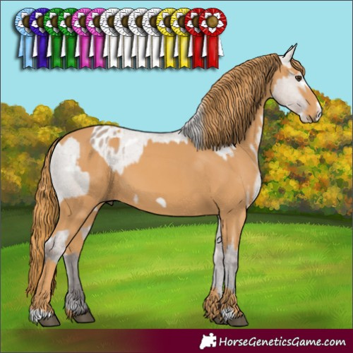 Horse Color:White Spotted Liver Red Dun Mushroom Frame Varnish  and Chestnut Frame 