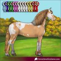 Horse Color:White Spotted Liver Red Dun Mushroom Frame Varnish  and Chestnut Frame 