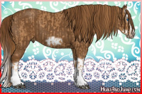 Horse Color:Chestnut Splash Frame  and Gray Chestnut Splash Frame 