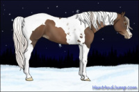 Horse Color:Gray Silver Black Pearl Tobiano 