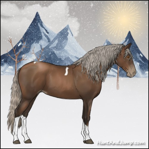 Horse Color:Gray Silver Black Pearl Tobiano