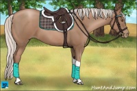 Horse Color:Silver Black Pearl Tobiano