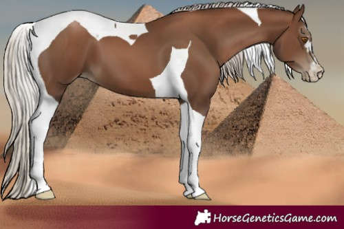 Horse Color:Gray Silver Black Pearl Tobiano 