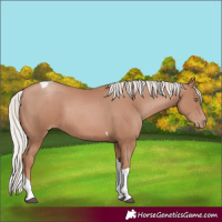 Horse Color:Silver Black Pearl Mushroom Tobiano