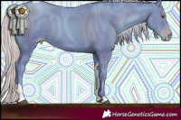 Horse Color:Gray Watercolor Silver Black Pearl Tobiano 