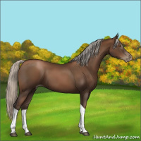 Horse Color:Gray Silver Black Pearl Tobiano