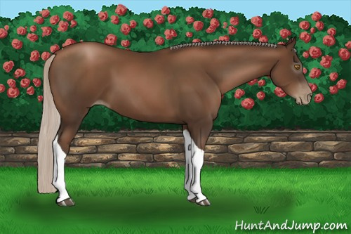 Horse Color:Gray Silver Black Pearl Tobiano 