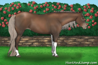 Horse Color:Gray Silver Black Pearl Tobiano