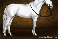 Horse Color:Gray Silver Black Pearl Tobiano