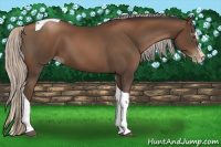 Horse Color:Gray Silver Black Pearl Splash Tobiano