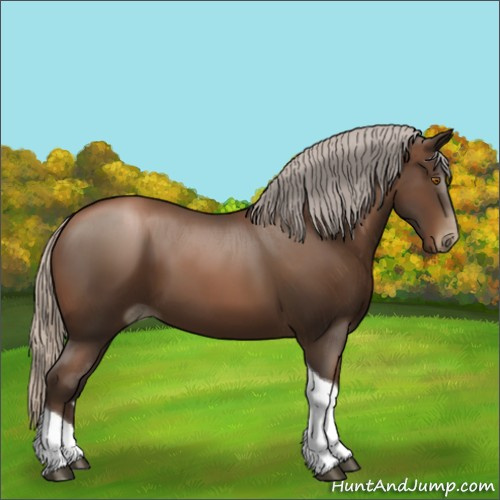 Horse Color:Gray Silver Black Pearl Tobiano