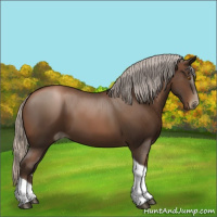 Horse Color:Gray Silver Black Pearl Tobiano