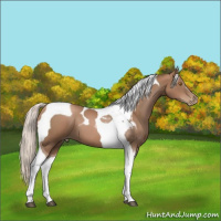 Horse Color:Silver Black Pearl Tobiano 