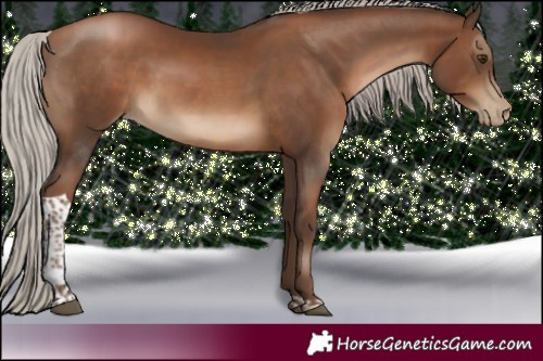 Horse Color:Gray Silver Black Pearl Tobiano