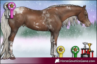 Horse Color:Gray Silver Black Pearl Tobiano 