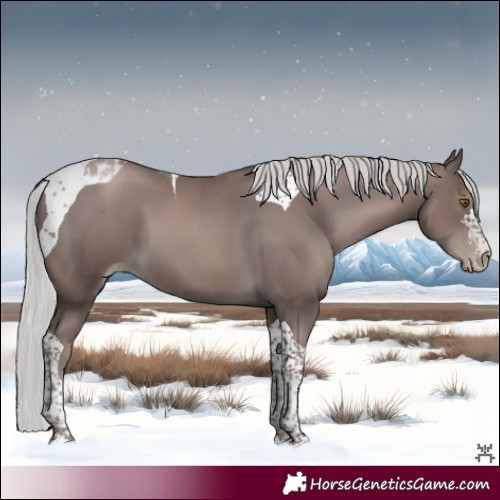 Horse Color:Gray Platinum Silver Black Pearl Tobiano