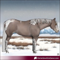 Horse Color:Gray Platinum Silver Black Pearl Tobiano 