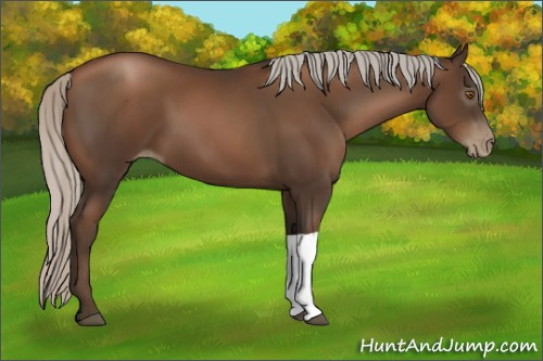 Horse Color:Gray Silver Black Pearl Tobiano
