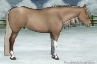 Horse Color:Gray Silver Grullo Pearl Tobiano 